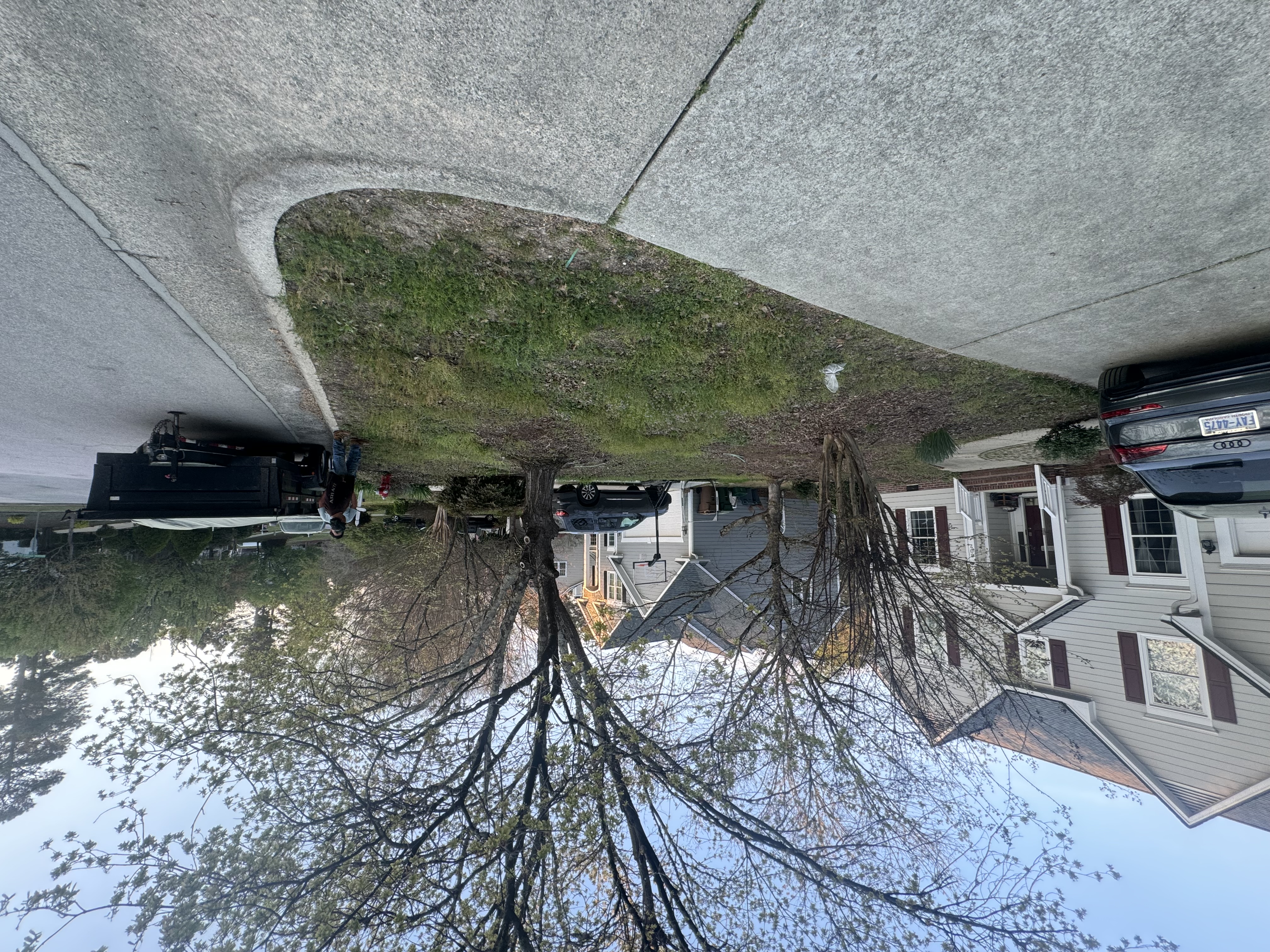 Before — Lawn restoration project