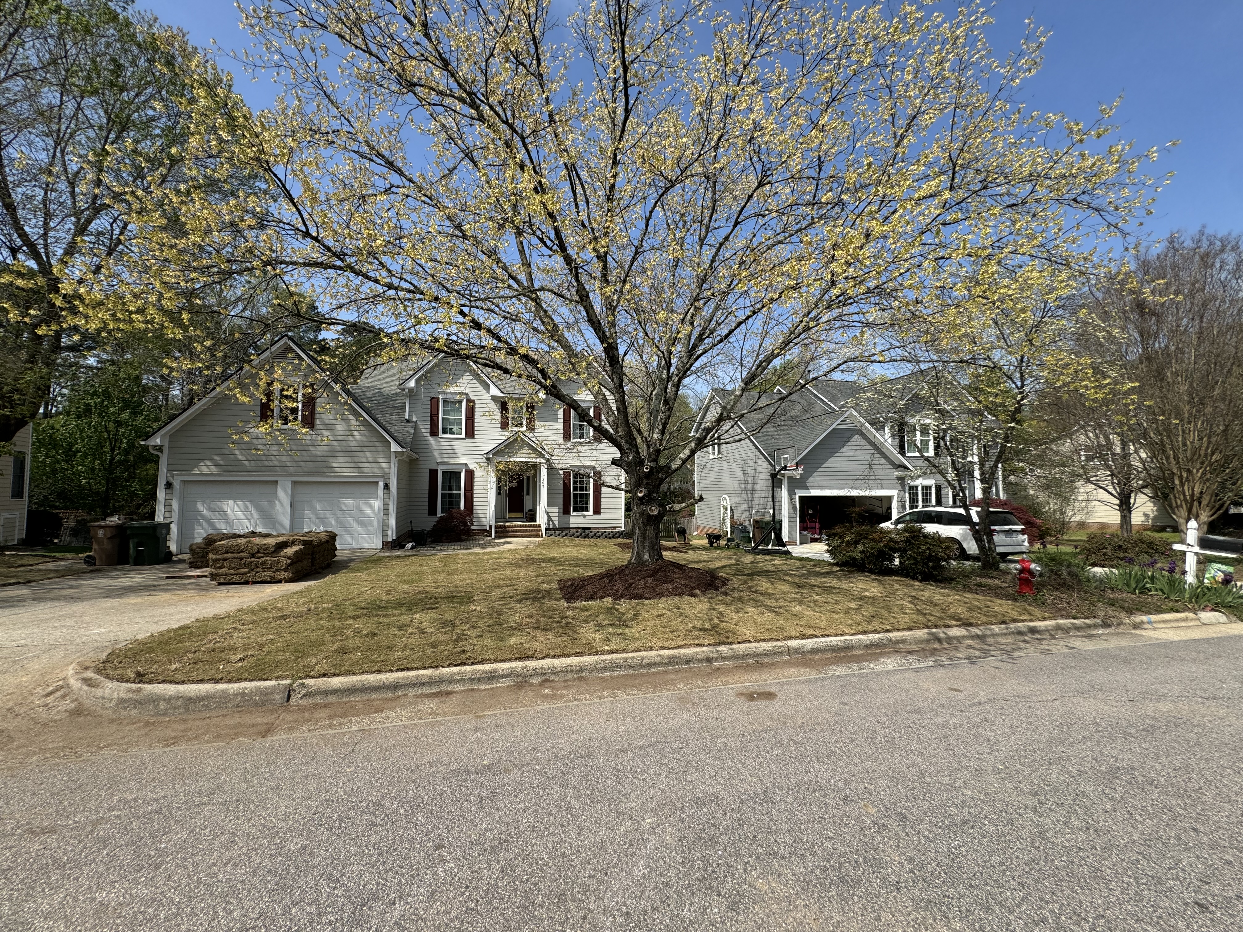 After — Lawn restoration project