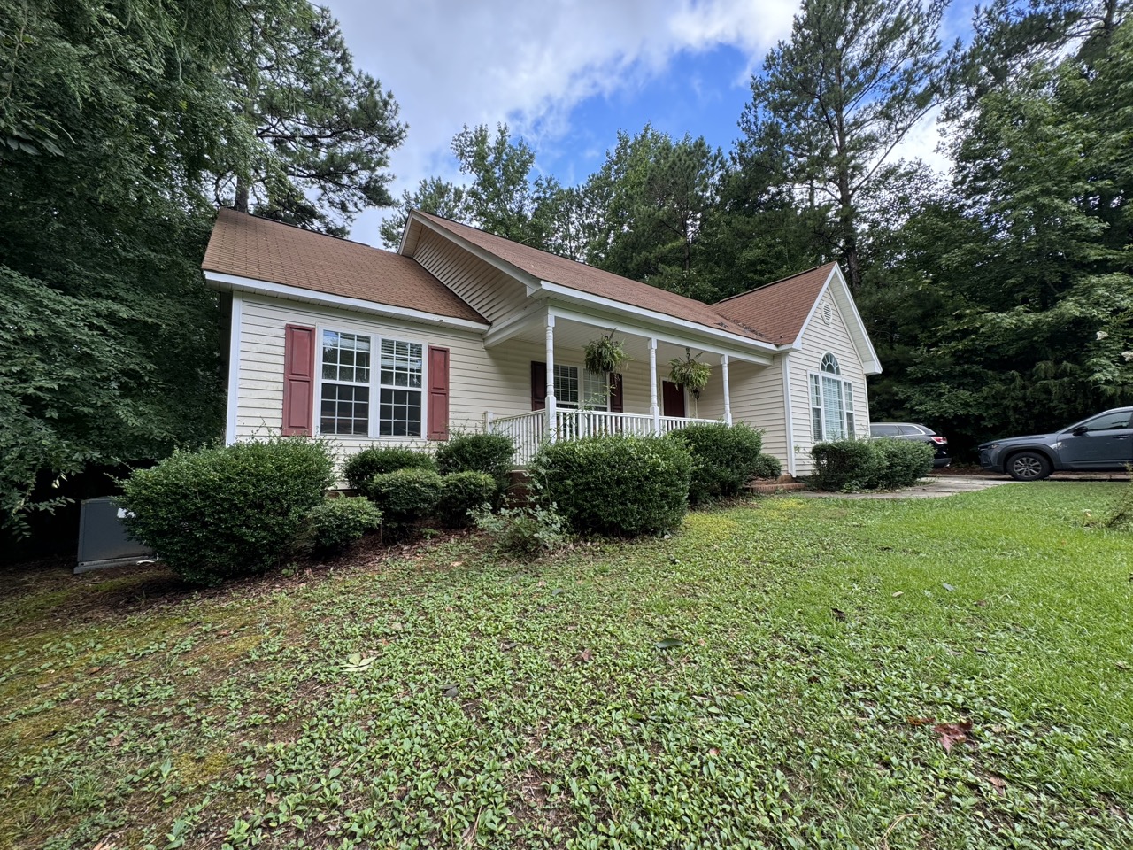 Before — Land clearing project